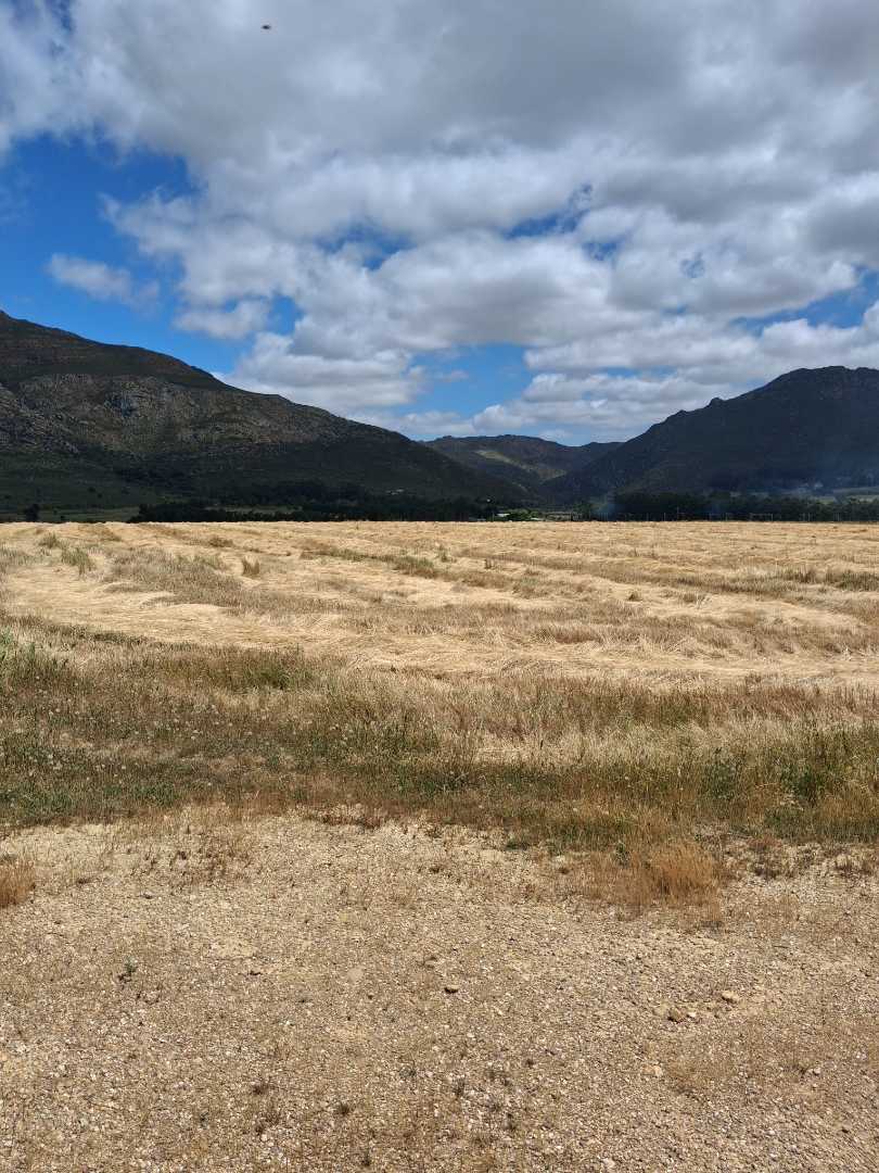 4 Bedroom Property for Sale in Tulbagh Western Cape